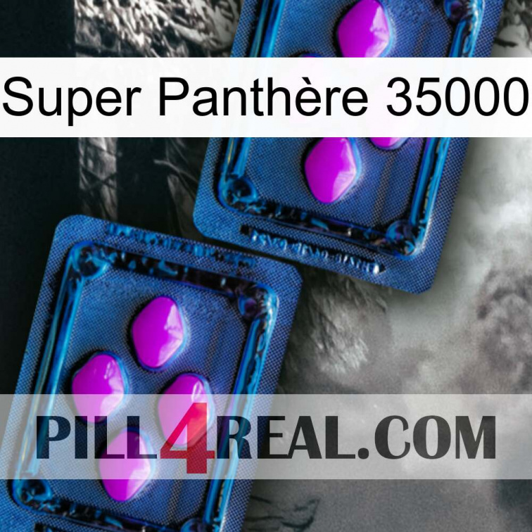 Super Panthère 35000 03